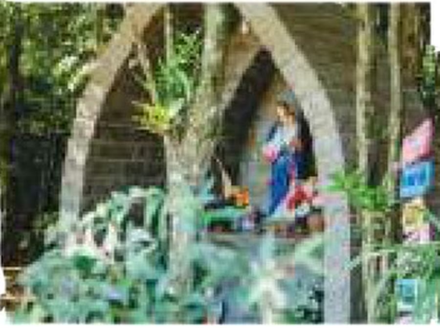 A Gruta Nossa Senhora da Saúde em meio à vegetação, com a imagem sob os arcos de pedra