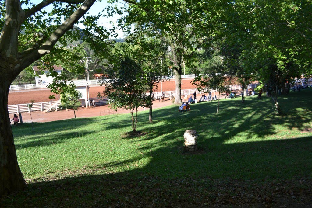 Área verde arborizada do Parque Municipal Lauro Ricieri Bortolon